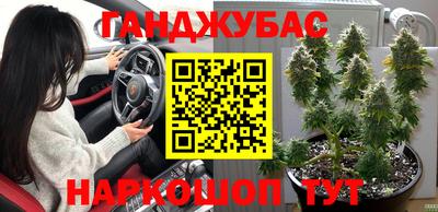 прущие грибы Вышний Волочёк