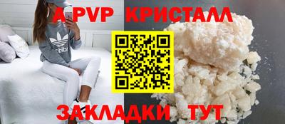 прущие грибы Вышний Волочёк