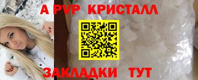 прущие грибы Вышний Волочёк