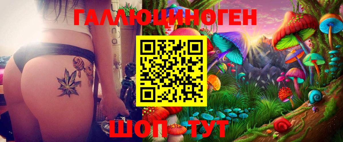 Городец  Псилоцибиновые грибы GOLDEN TEACHER  Вход с VPN 